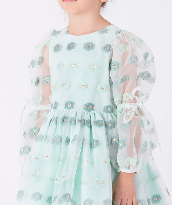 Delicate mint green dress adorned with jacquard flower motifs and sheer puff sleeves