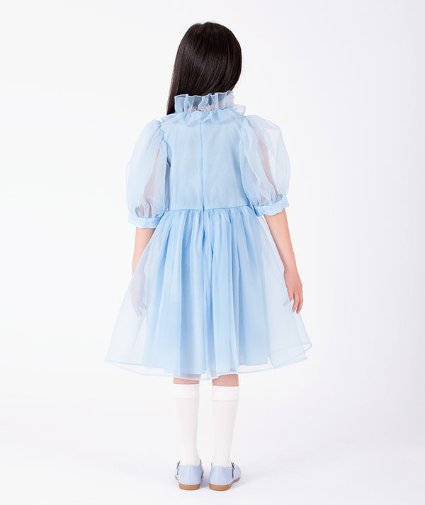 Organza Ruffles Girls Dress