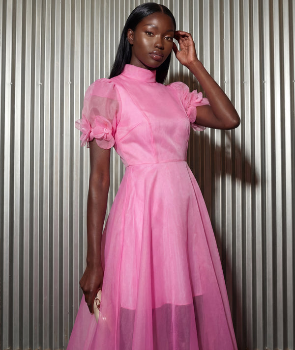 Sheer Organza Flowers Women's Dress