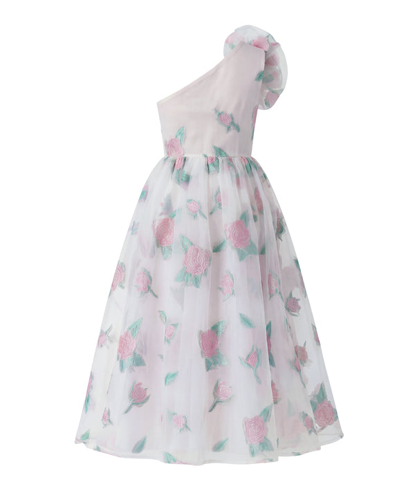 Organza Jacquard Women's Dress