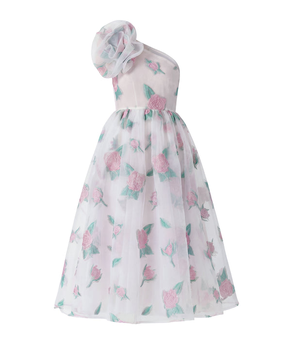 Organza Jacquard Women's Dress