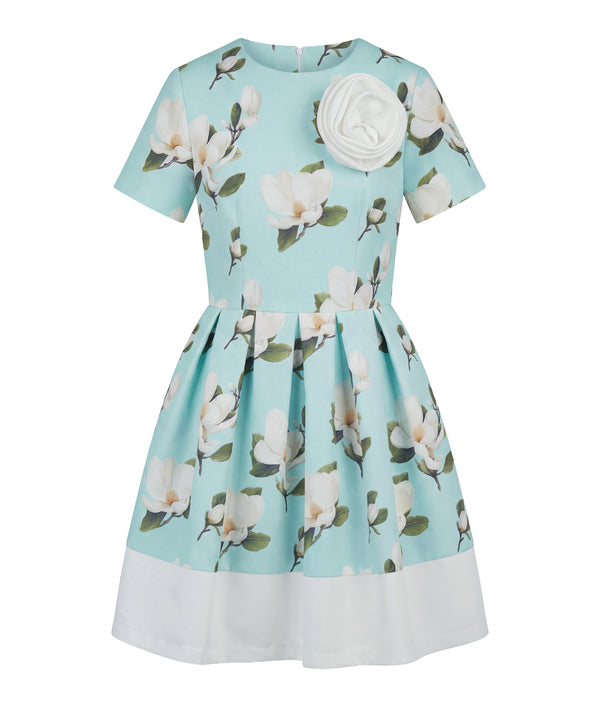 3D Appliqué Floral Mint Women's Dress