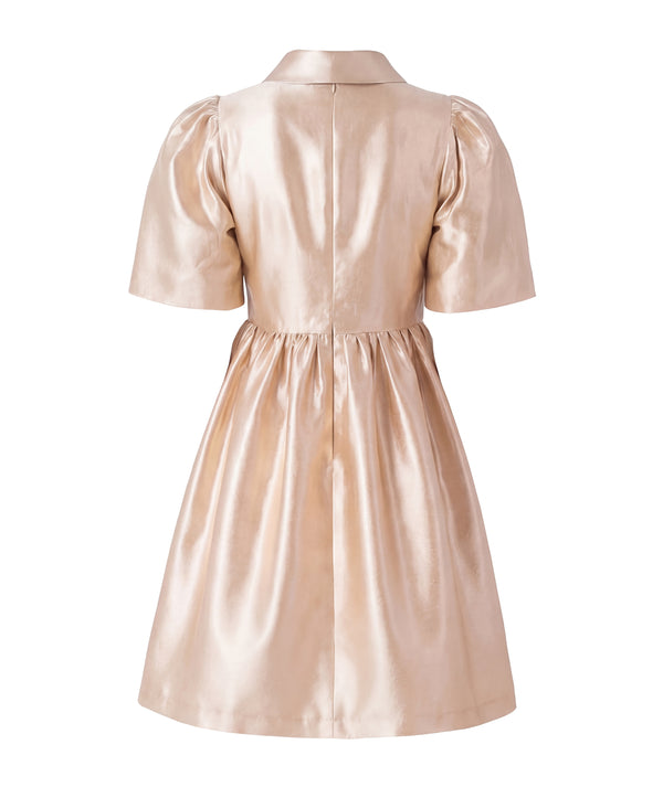 Gold Brooch Women's Dress