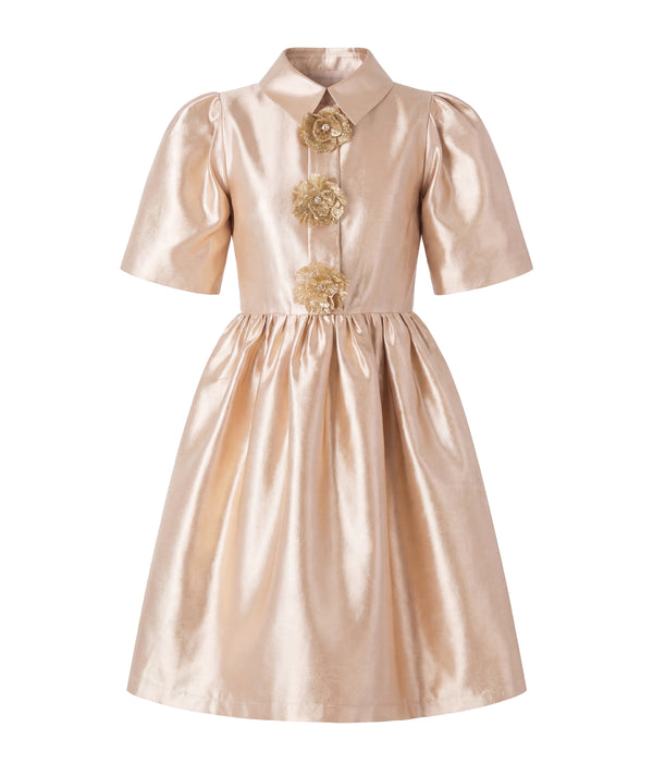 Gold Brooch Women's Dress