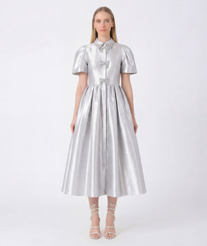 Woman wearing a silver metallic dress on a white background