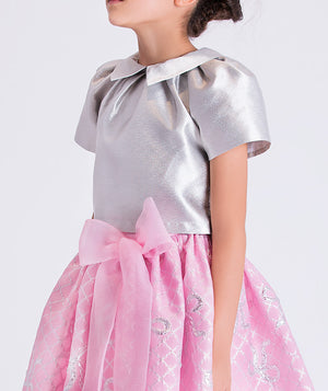 Silver top and pink skirt with floral embroidery on a white background