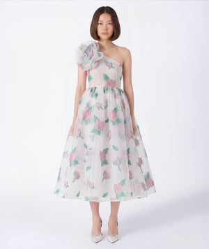 Organza Jacquard Women's Dress women wearing dress