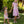 Load image into Gallery viewer, Editorial view of Crystal Trim Women's Dress in ivory structured fabric, featuring fabric texture and color
