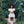 Charger l'image dans la galerie, Exquisite High-Low Skirt Outfit | 2 Pieces
