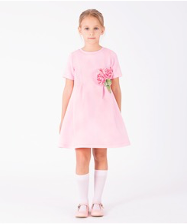 Rose Appliqué Girls Dress