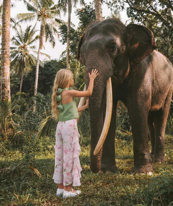 Ruffle Pants Floral Girls Outfit | 2 Pieces