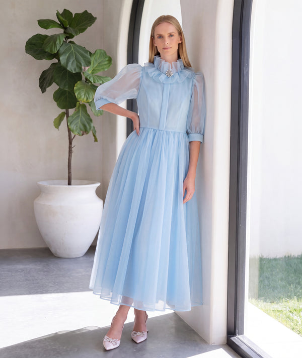 Back view of Organza Ruffles Women's Dress showing its blue organza finish with refined designer construction