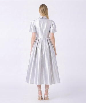 silver dress women back