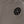 Charger l'image dans la galerie, Close-up detail of taupe girls shorts featuring a minimalist black emblem and soft knit texture, designed for everyday wear, school outfits, and casual looks, available in sizes 3–14
